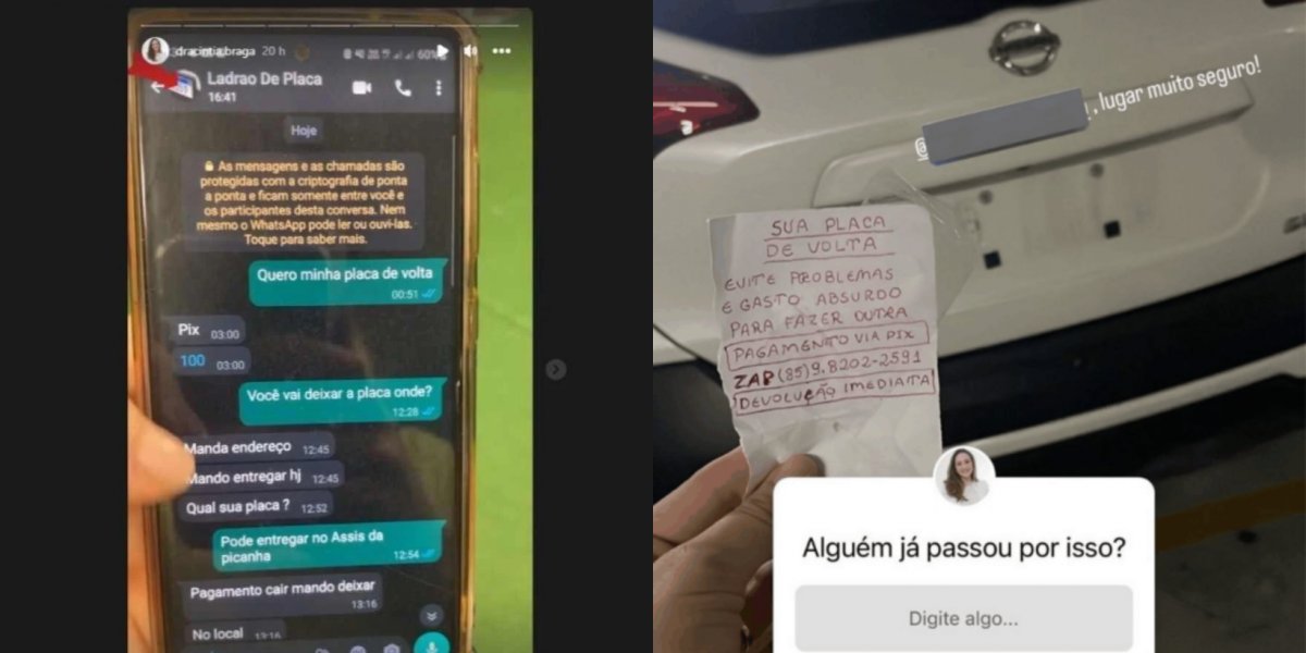 O Brasil não é para amadores: Ladrão rouba placa de carro e surpreende web