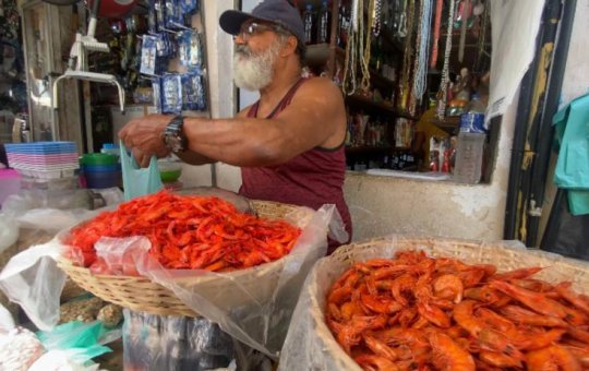 Semana Santa tem alta de preços na Feira de São Joaquim