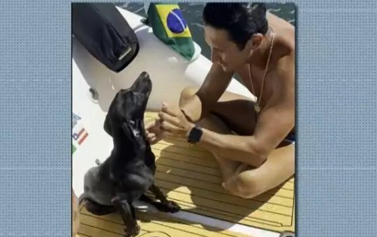 Cadela é resgatada em alto mar na Baía de Todos-os-Santos