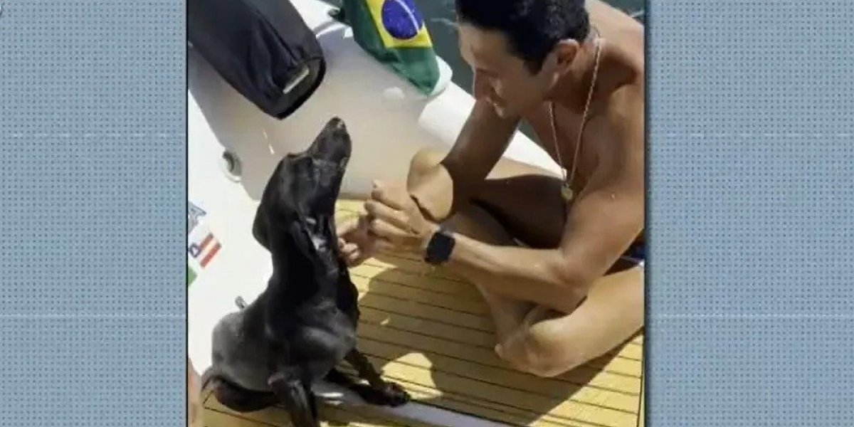 Cadela é resgatada em alto mar na Baía de Todos-os-Santos