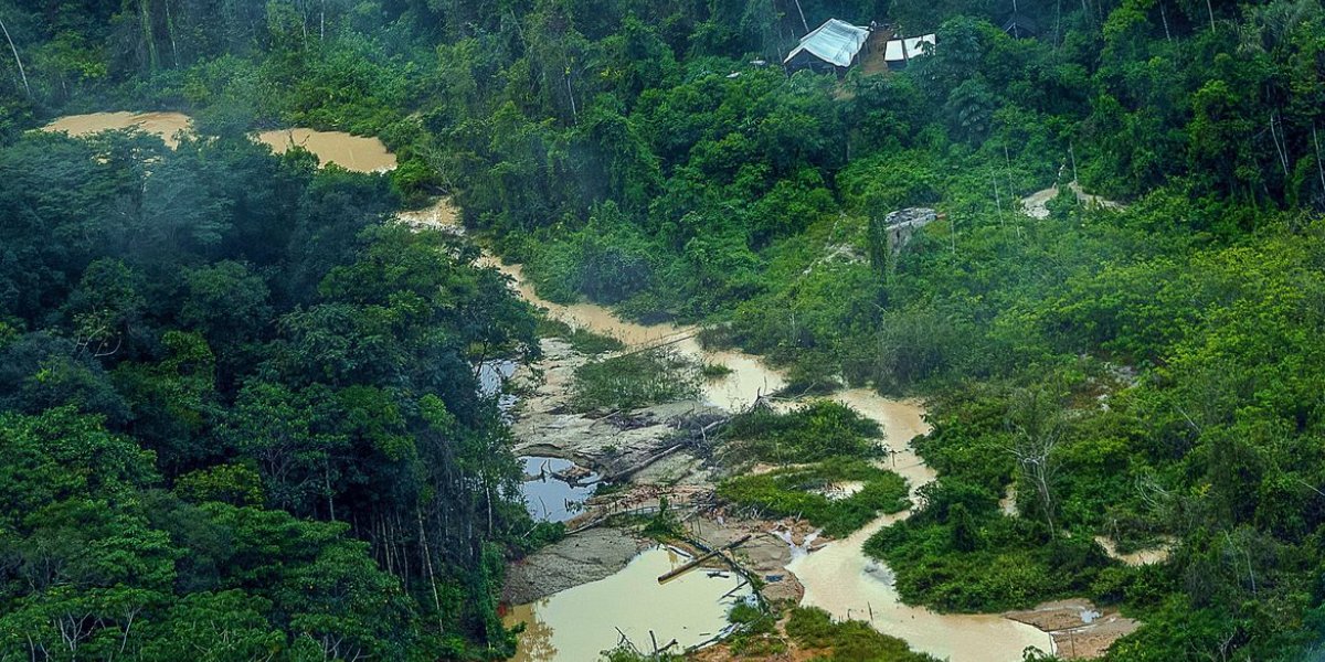 Greenpeace Brasil encontra 176 escavadeiras em terras Yanomami