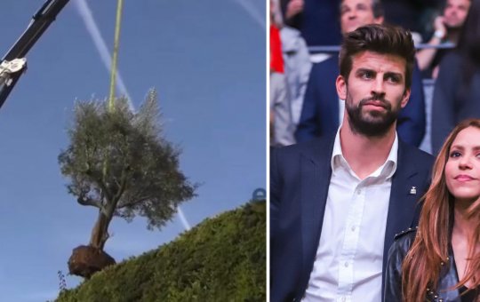 Shakira manda guincho 'buscar' árvore na casa do ex, Piqué