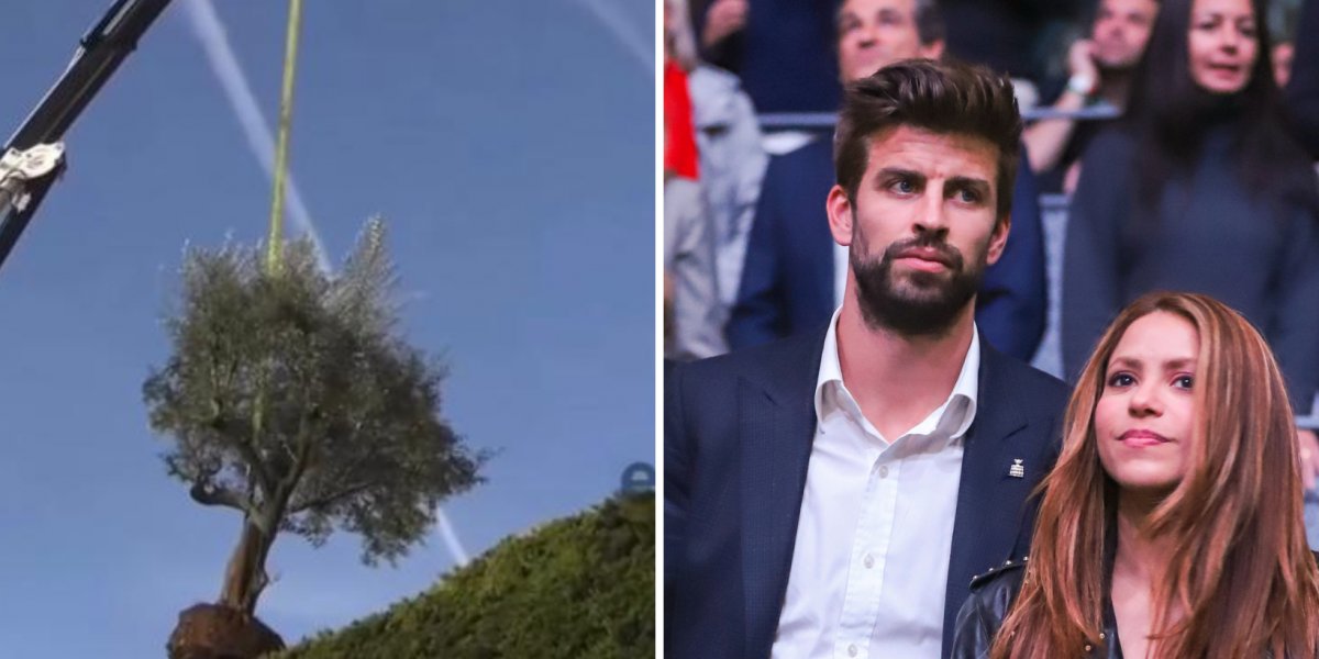 Shakira manda guincho 'buscar' árvore na casa do ex, Piqué