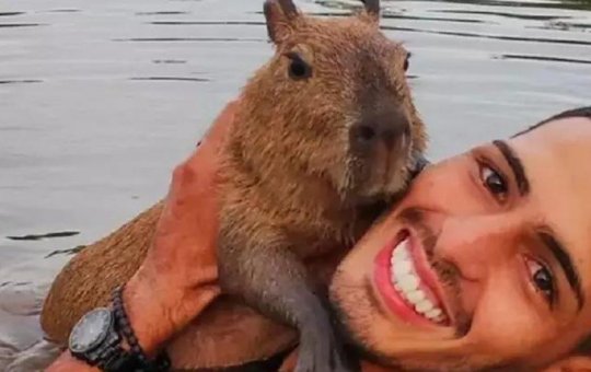 Ibama multa tiktoker intitulado ‘pai’ de Capivara Filó