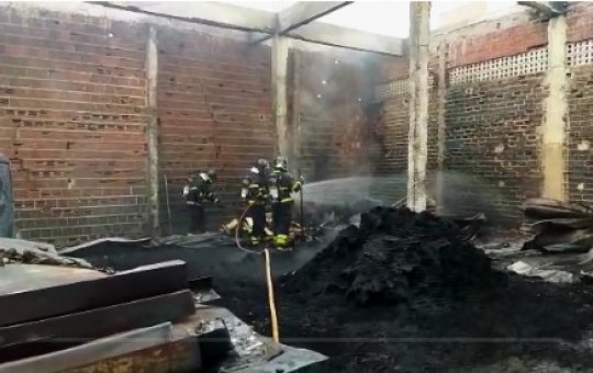Bombeiros resgatam gato após debelar chamas em galpão em Juazeiro
