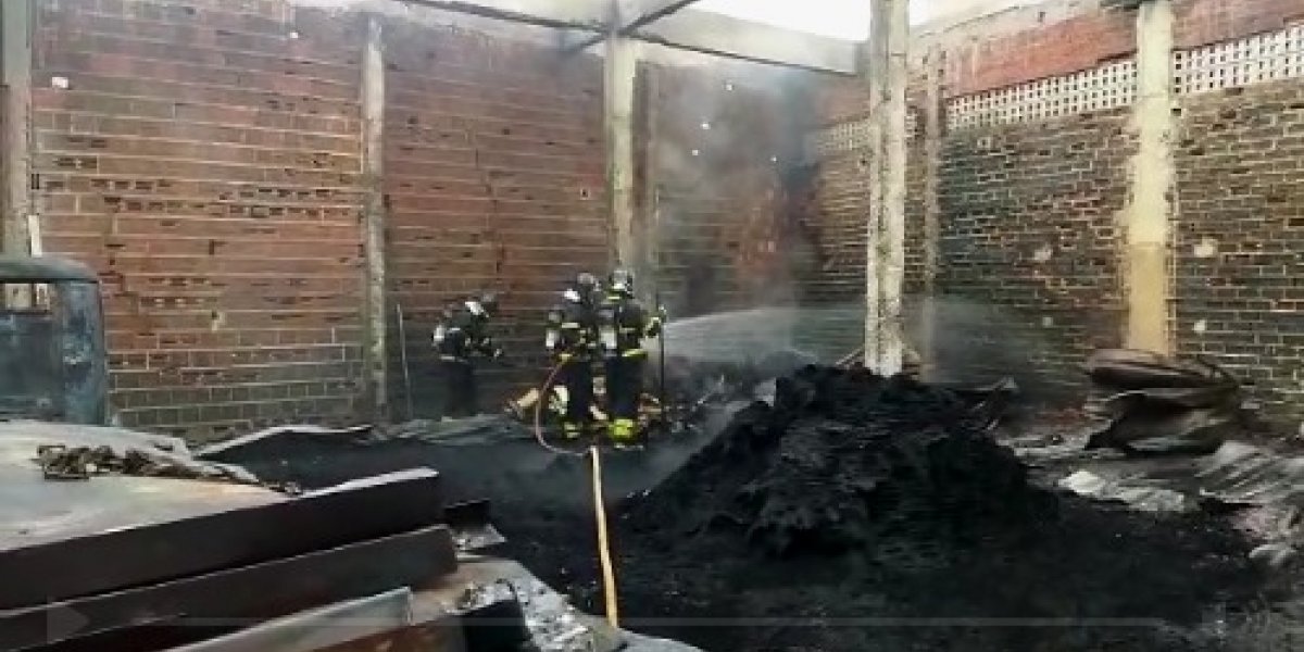 Bombeiros resgatam gato após debelar chamas em galpão em Juazeiro