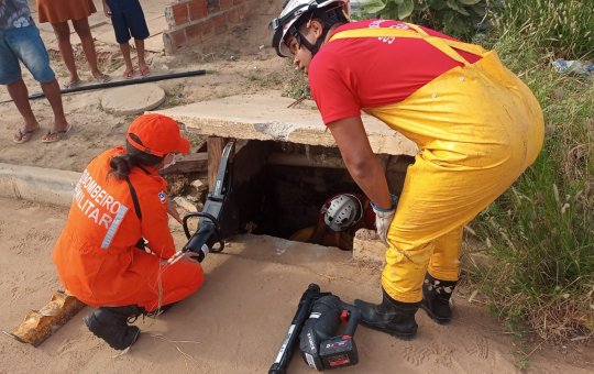 Bombeiros resgatam cãozinho em situação de risco em Juazeiro
