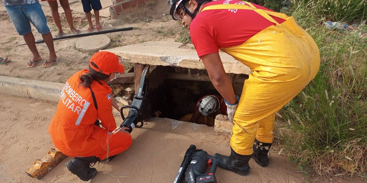 Bombeiros resgatam cãozinho em situação de risco em Juazeiro