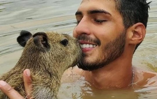 Capivara Filó: Justiça permite que local em que animal está seja vistoriado