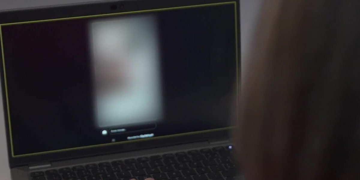 Incentivada por comunidade no Discord, adolescente tortura gato em transmissão