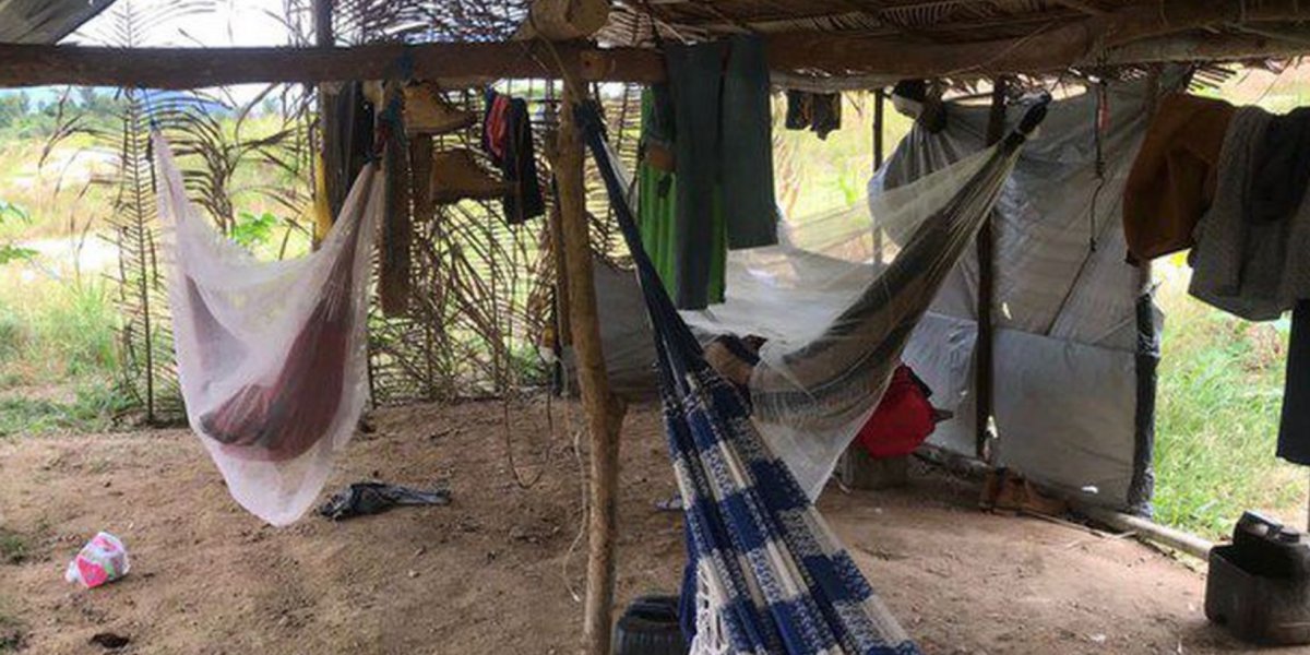 PF fecha garimpo ilegal no Pará e resgata trabalhadores; suspeito é preso