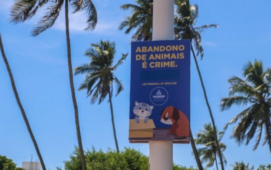 Câmeras de videomonitoramento são instaladas para coibir abandono de animais