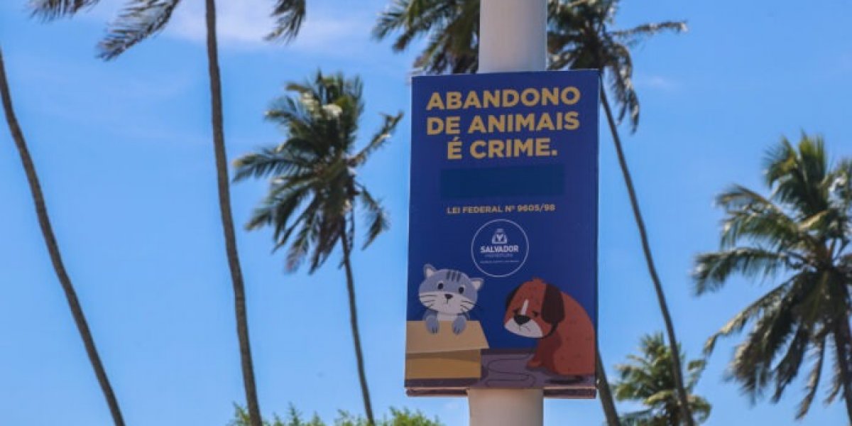 Câmeras de videomonitoramento são instaladas para coibir abandono de animais