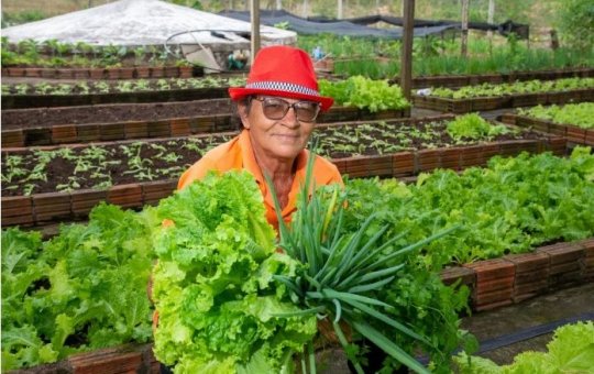 Alba aprova projeto que fortalece agricultura familiar e a produção de orgânicos