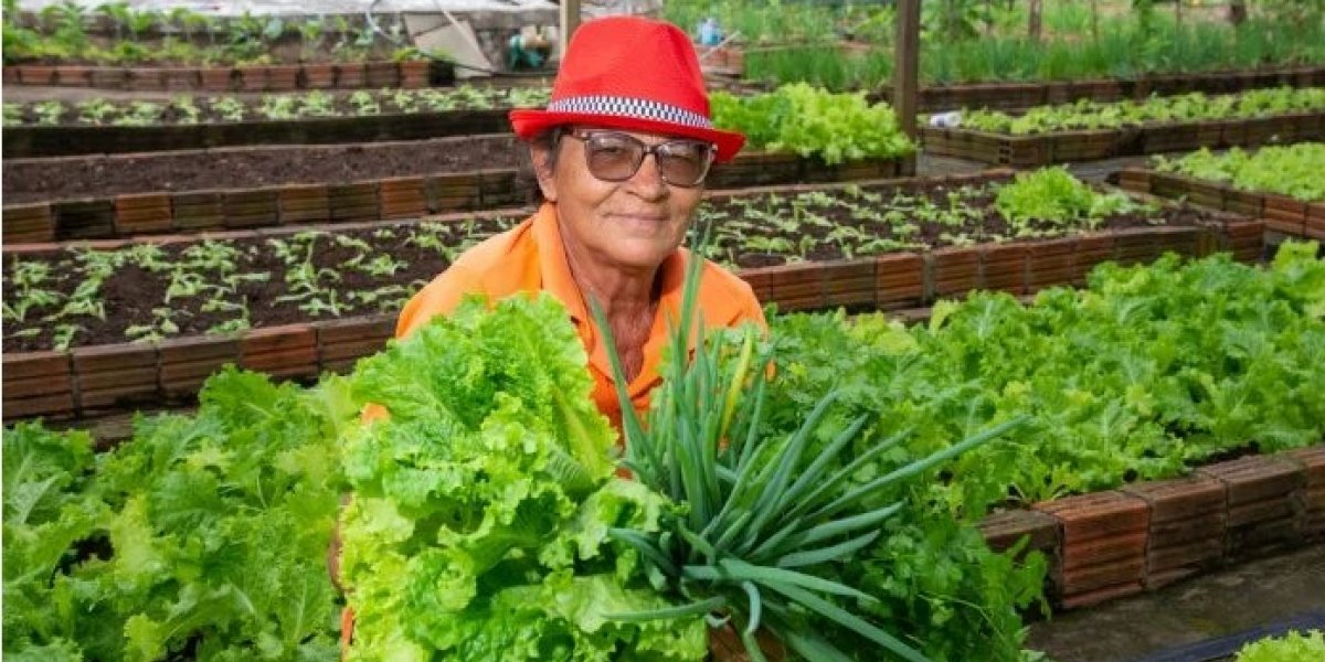 Alba aprova projeto que fortalece agricultura familiar e a produção de orgânicos