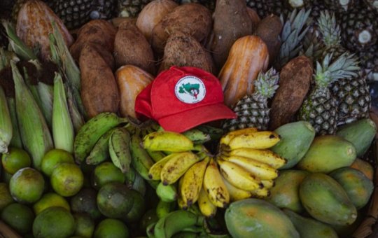 Câmara instala CPIs para investigar MST, Americanas e apostas