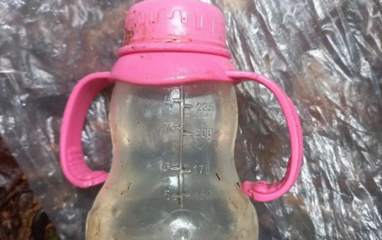 Forças Armadas encontram crianças e bebê que sobreviveram à queda de avião