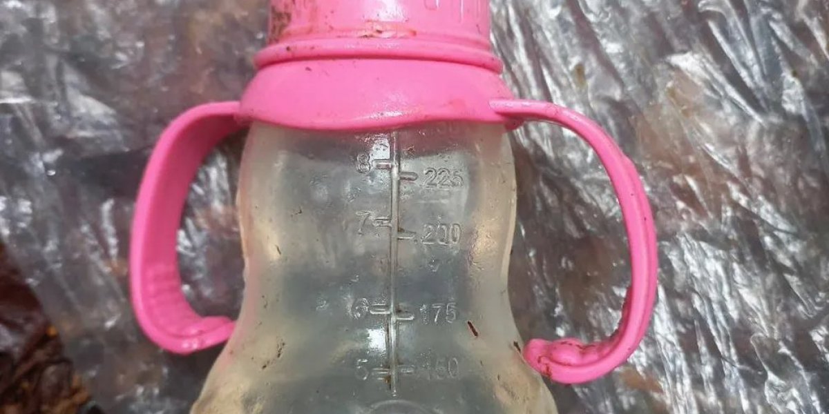 Forças Armadas encontram crianças e bebê que sobreviveram à queda de avião