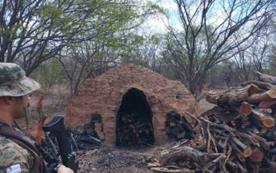 Polícia destrói fornos irregulares e apreende carvão ilegal no oeste da Bahia