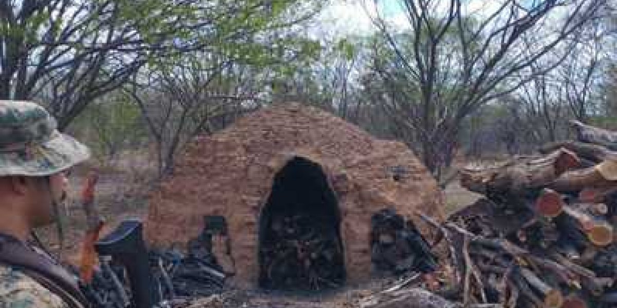 Polícia destrói fornos irregulares e apreende carvão ilegal no oeste da Bahia