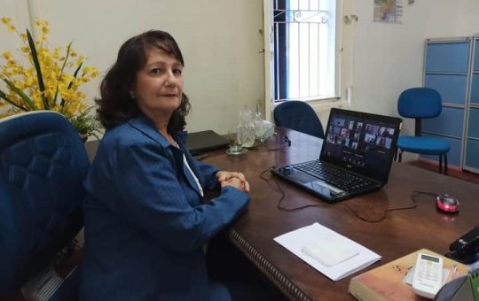 OAB: decreto de prefeita que prevê sacrifício de cães de rua é inconstitucional