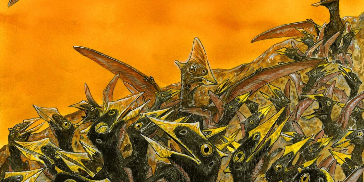 Pterossauros jovens tinham comportamento semelhante ao das aves atuais