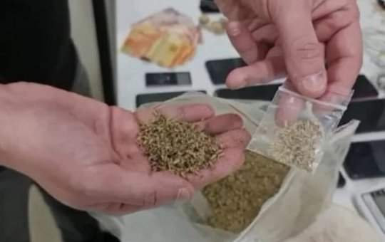 Sesab alerta para riscos de nova droga sintética 'K9' apreendida na Bahia