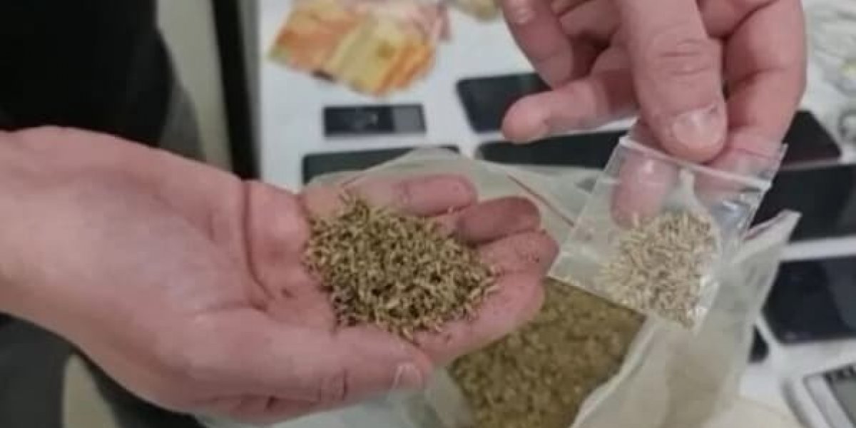 Sesab alerta para riscos de nova droga sintética 'K9' apreendida na Bahia