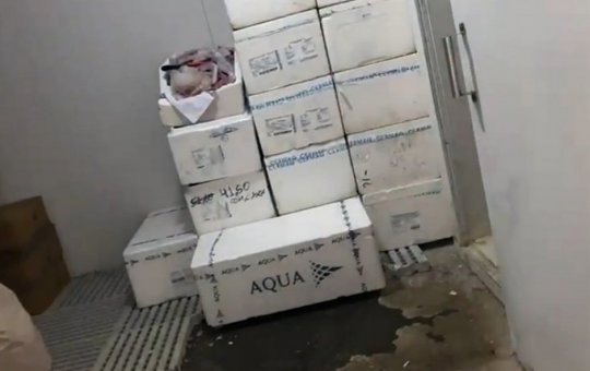 Duas toneladas de pescados sem nota fiscal são apreendidas em Conquista