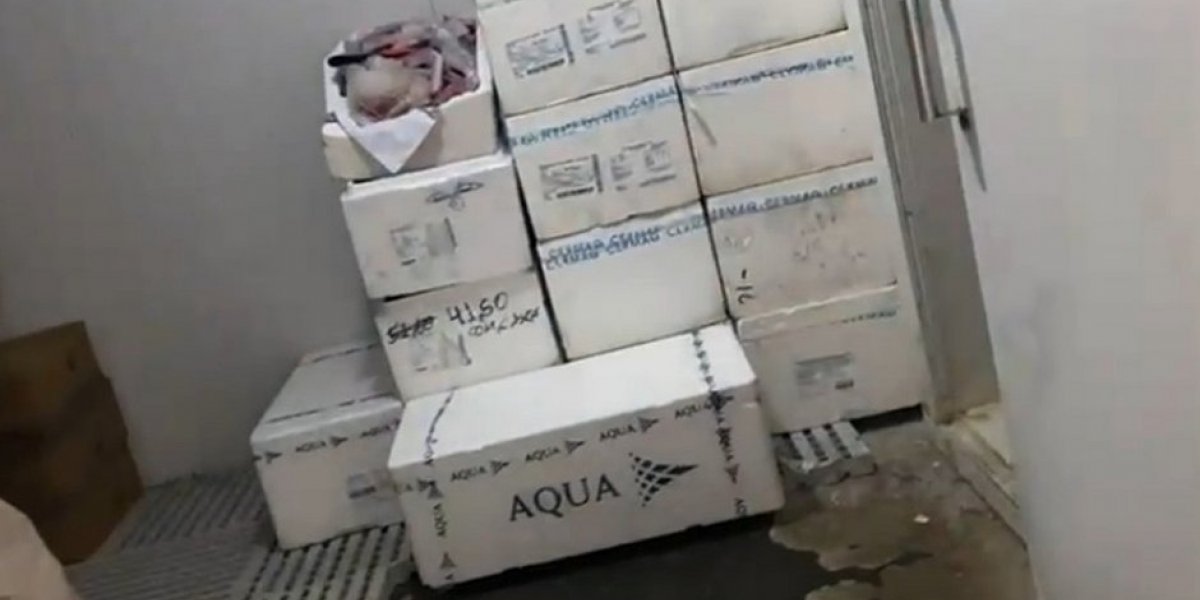 Duas toneladas de pescados sem nota fiscal são apreendidas em Conquista