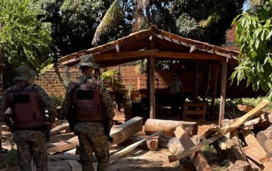 Polícia fecha serraria ilegal na Chapada Diamantina; idoso é levado à delegacia