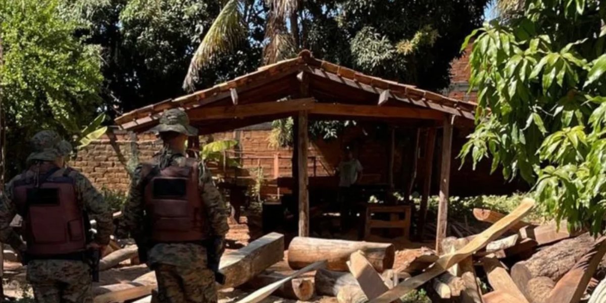 Polícia fecha serraria ilegal na Chapada Diamantina; idoso é levado à delegacia
