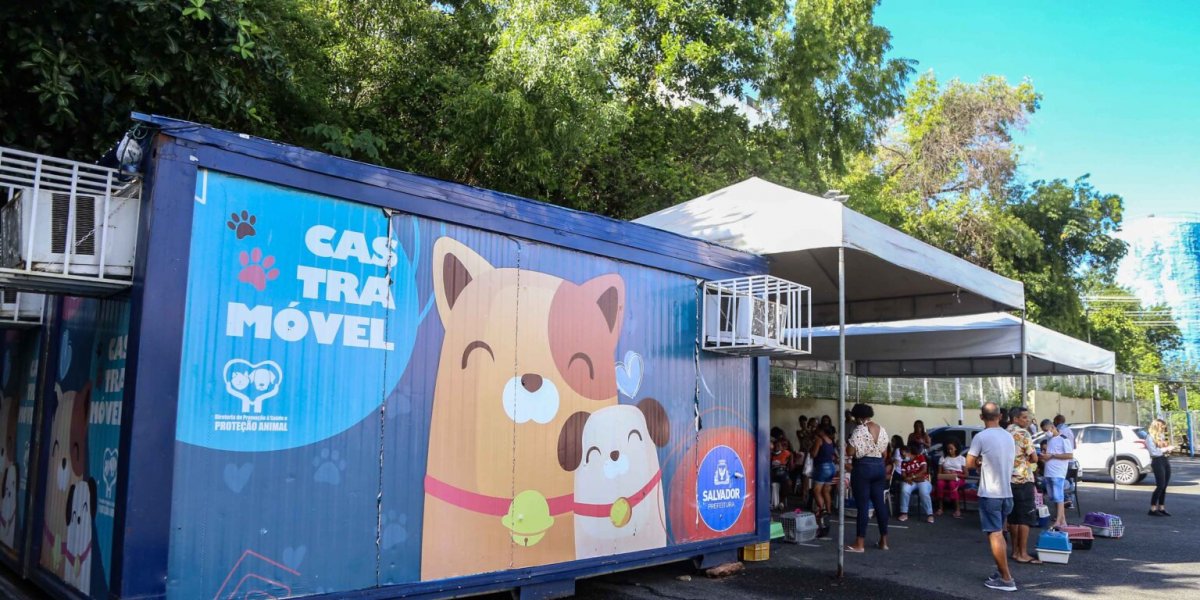 Castramóvel inicia atendimento no Shopping da Bahia; veja como agendar