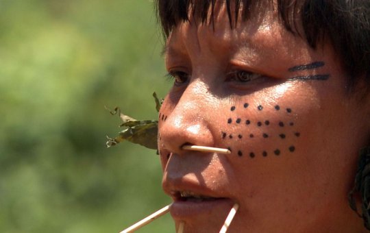 Observatório identifica 42 políticos com fazendas em terras indígenas