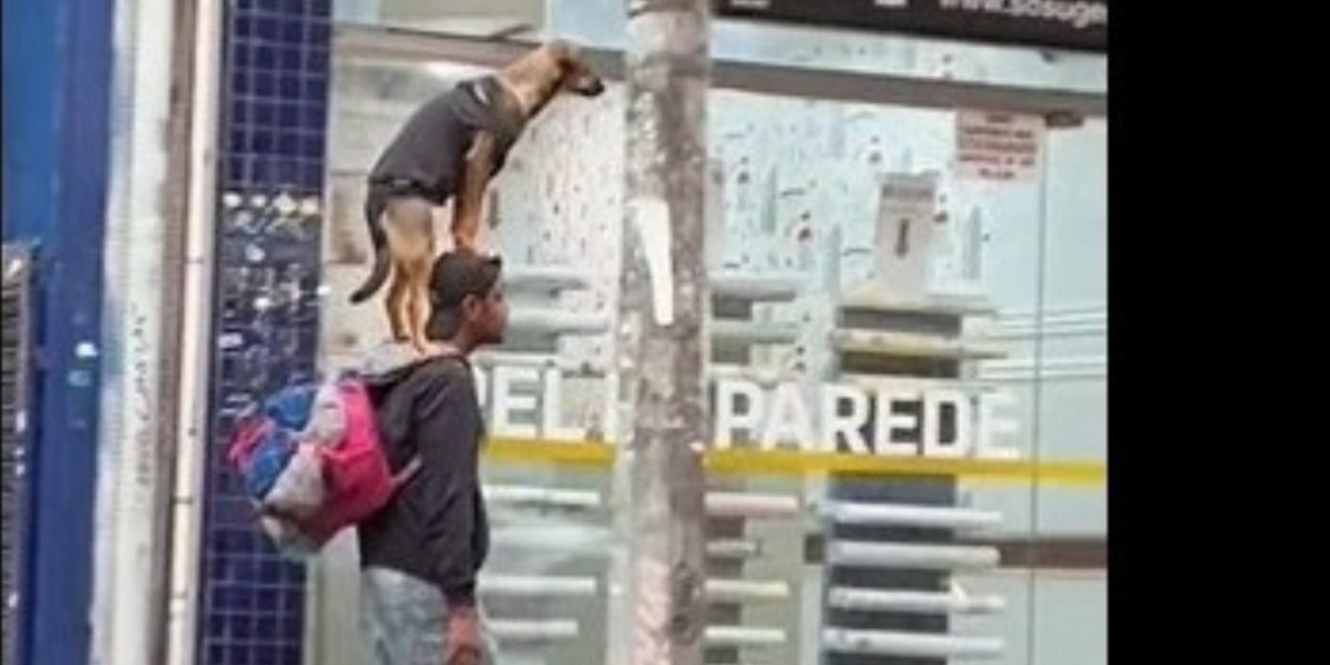 Homem viraliza nas redes após passeio 'inusitado' com cachorro