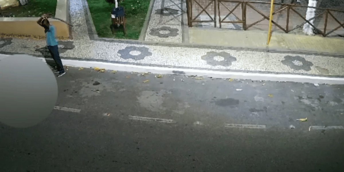 Suspeito de espancar cachorro em Itaberaba tem prisão preventiva decretada