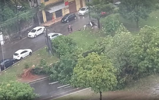 Incêndio atinge cerca de três mil metros quadrados de mata ciliar em Barreiras