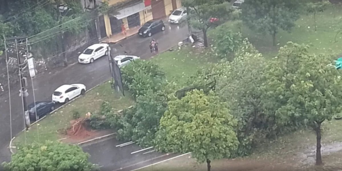 Incêndio atinge cerca de três mil metros quadrados de mata ciliar em Barreiras