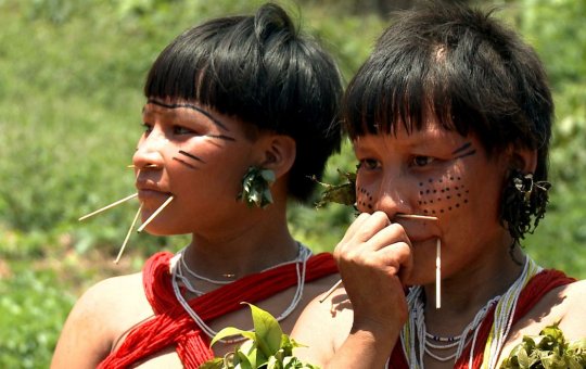 Mais da metade dos yanomami vive em risco de saúde