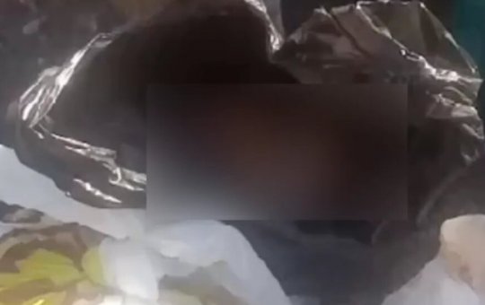 Feto é encontrado dentro de saco de lixo na cidade de Camaçari