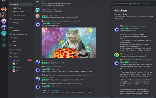 Saiba o que é o Discord, aplicativo popular entre gamers