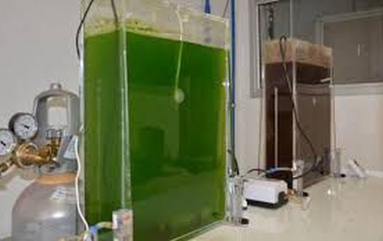 Petrobras ampliará capacidade de produção de diesel renovável