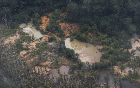 Voos clandestinos em terra yanomami caem 90% após operação especial