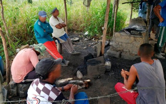 Trabalho análogo à escravidão bate recorde no Brasil 135 anos após da Lei Áurea