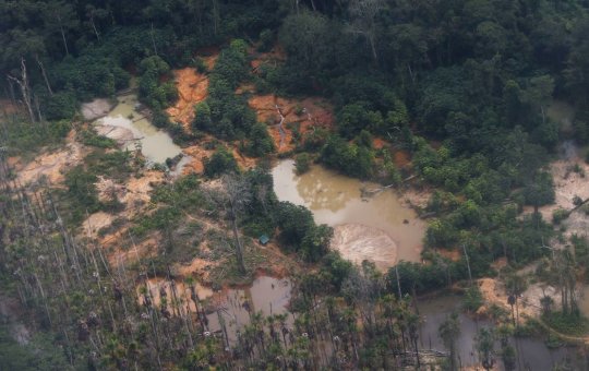 Garimpo ilegal devasta área de 118 hectares em Rondônia e no Amazonas
