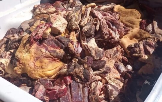 Uma tonelada de carne podre é apreendida em açougues e frigoríficos na Bahia