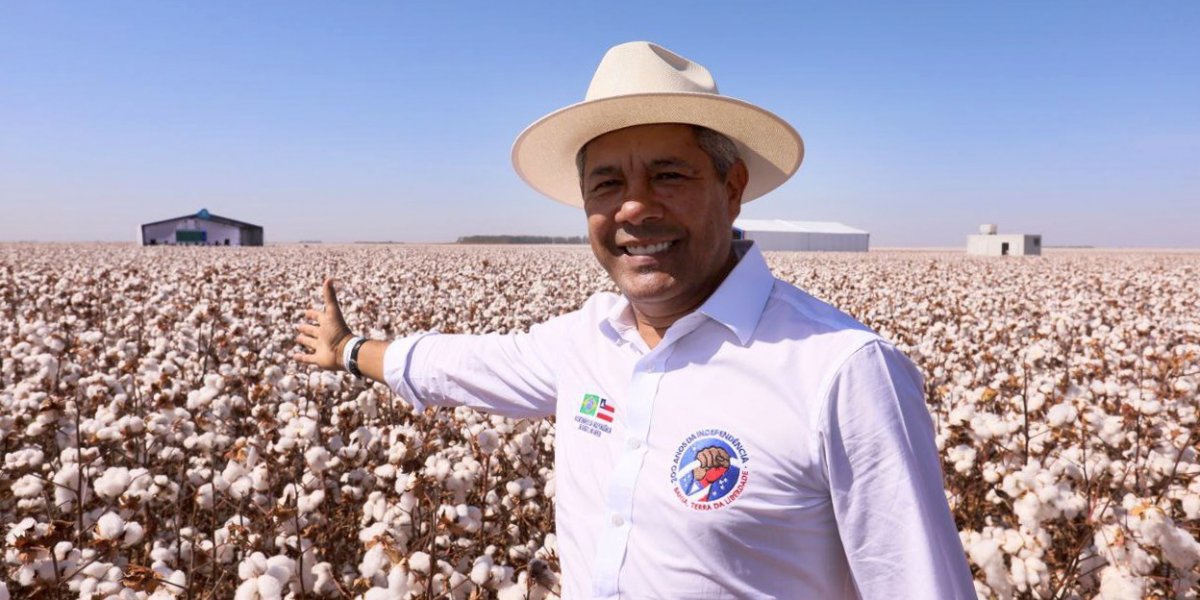 Jerônimo Rodrigues participa da 2º edição do Dia do Algodão, em Correntina