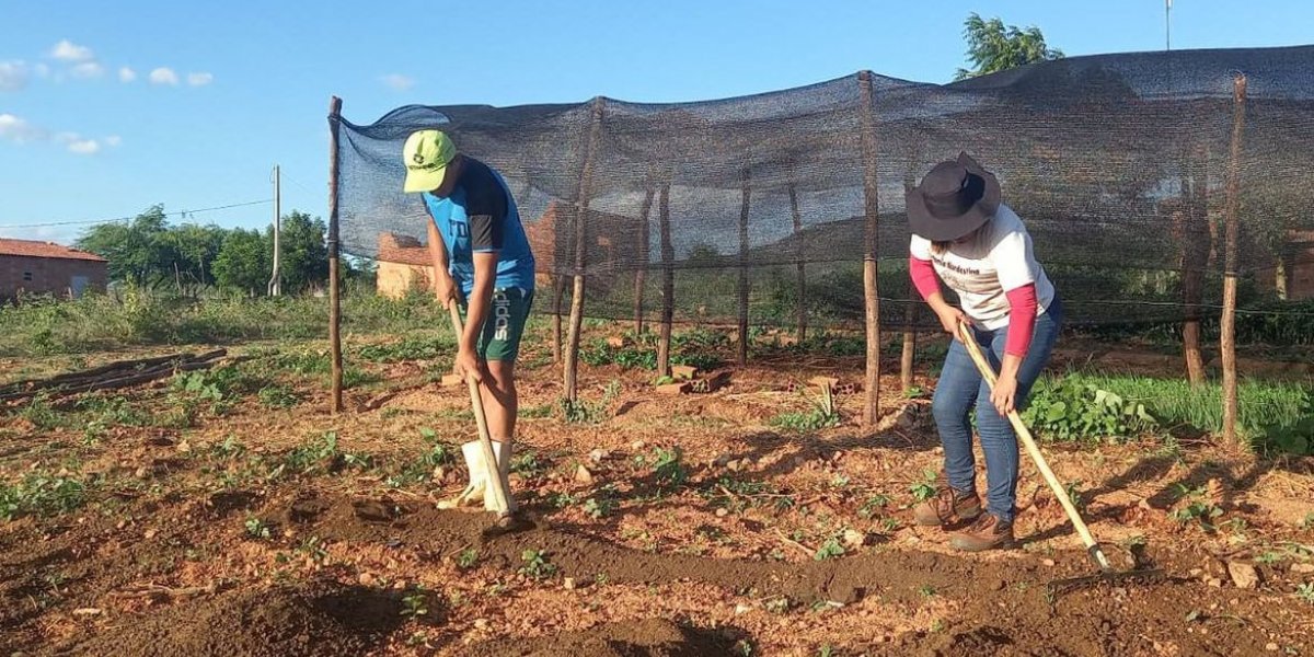 Trabalhadores pedem redução de juros para produzir alimentos no Brasil