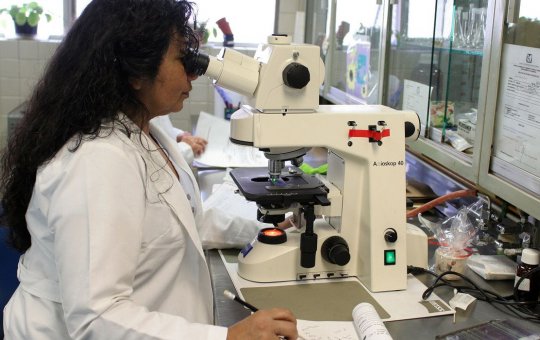 Empoderamento feminino no Brasil é médio-baixo mostra ONU