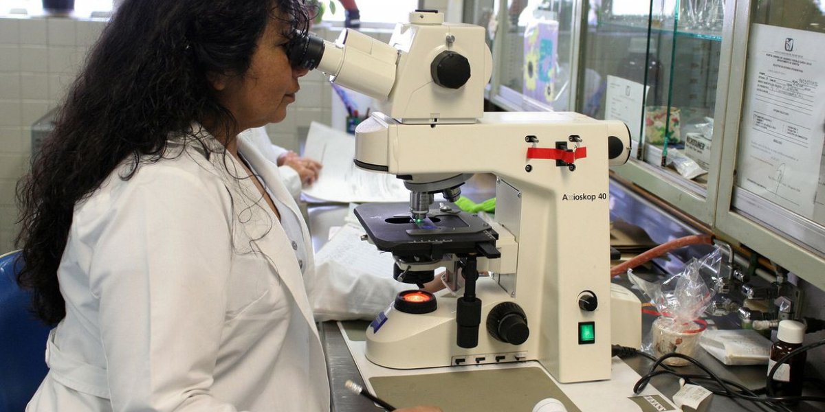 Empoderamento feminino no Brasil é médio-baixo mostra ONU